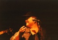 Kelly Bird