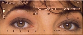 Screenshot of Kate1 Winamp Skin