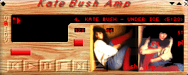 Screenshot of Kate12 Winamp Skin