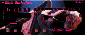 Screenshot of Kate13 Winamp Skin
