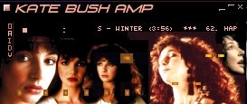 Screenshot of Kate14 Winamp Skin