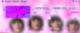 Screenshot of Kate15 Winamp Skin