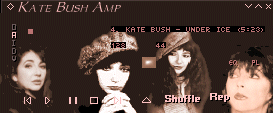 Screenshot of Kate17 Winamp Skin