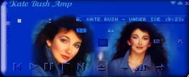 Screenshot of Kate19 Winamp Skin