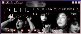 Screenshot of Kate23 Winamp Skin