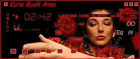 Screenshot of Kate27 Winamp Skin