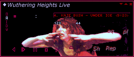 Screenshot of Kate3 Winamp Skin