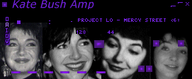 Screenshot of Kate33 Winamp Skin