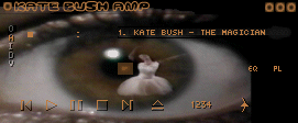 Screenshot of Kate39 Winamp Skin