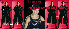 Screenshot of The Matrix 5 Winamp Skin