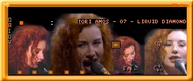 Screenshot of Tori1 Winamp Skin